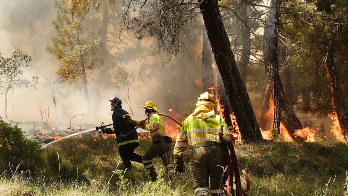Cuadrillas de tierra tratando de controlar un incendio en la Bureba.