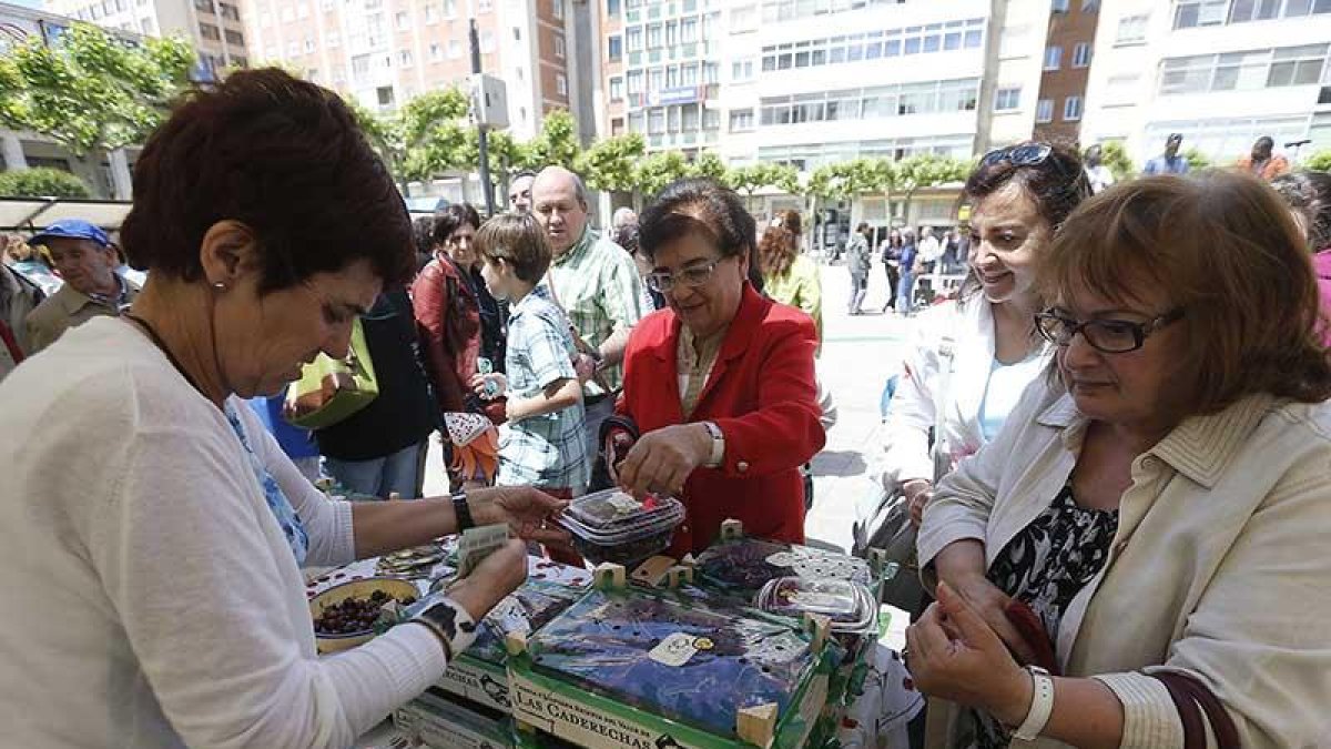 Imagen de archivo de una de las ediciones de la feria.-RAÚL G. OCHOA
