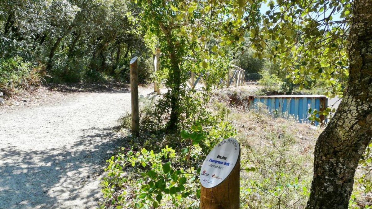 Sendero botánico que recorre el borde de la Trinchera del Ferrocarril de los yacimientos de la sierra de Atapuerca-ICAL