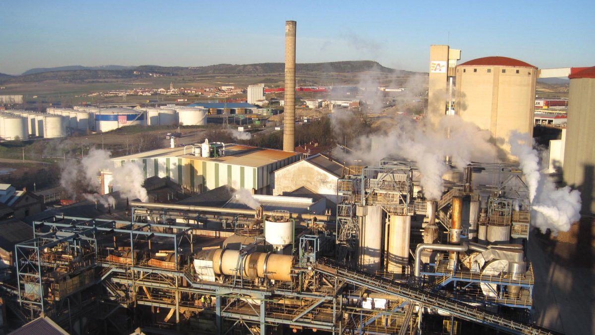La fábrica de Miranda ha obtenido un rendimiento tipo de 97 toneladas de remolacha por hectárea. ECB