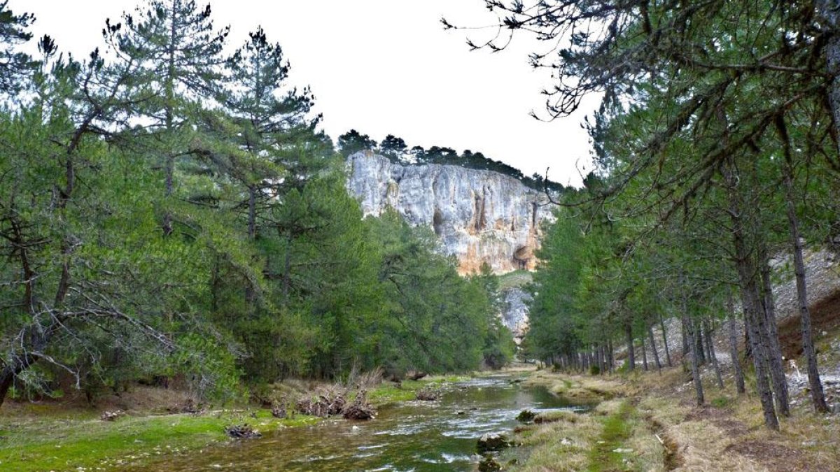 Vista del Cañón de Río Lobos, uno de los grandes atractivos de la villa.-AYUNTAMIENTO DE HONTORIA DEL PINAR