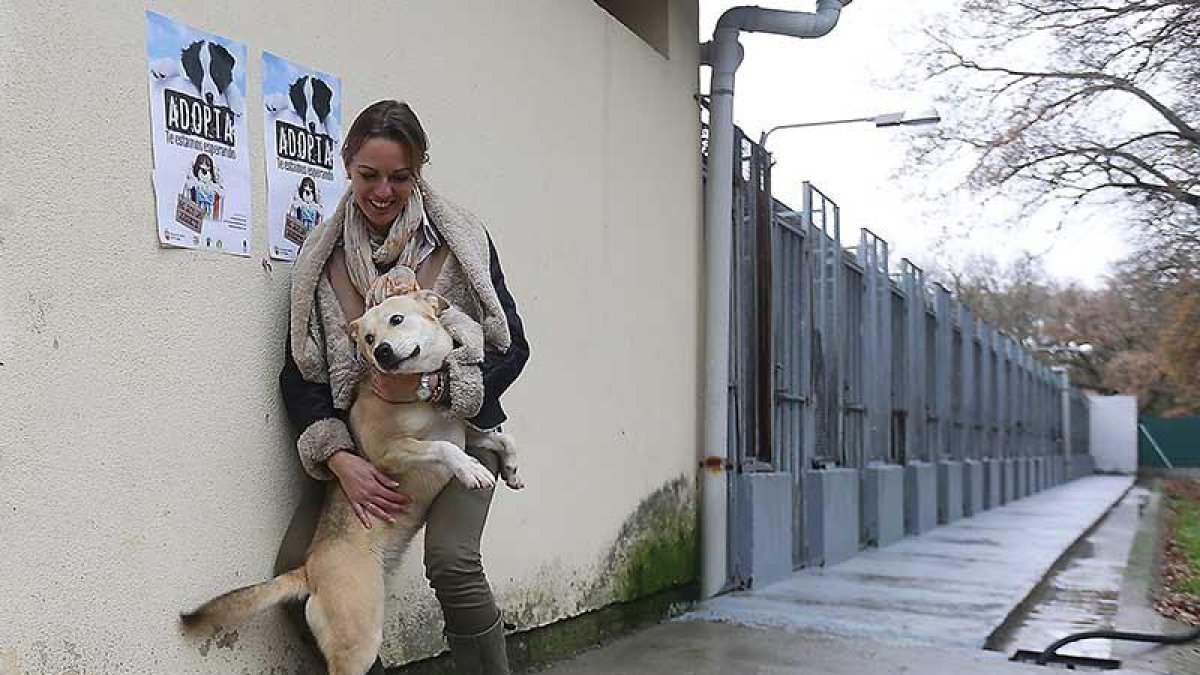 La edil de Sanidad juega con un perro junto a unos carteles que animan a la adopción.-RAÚL G. OCHOA