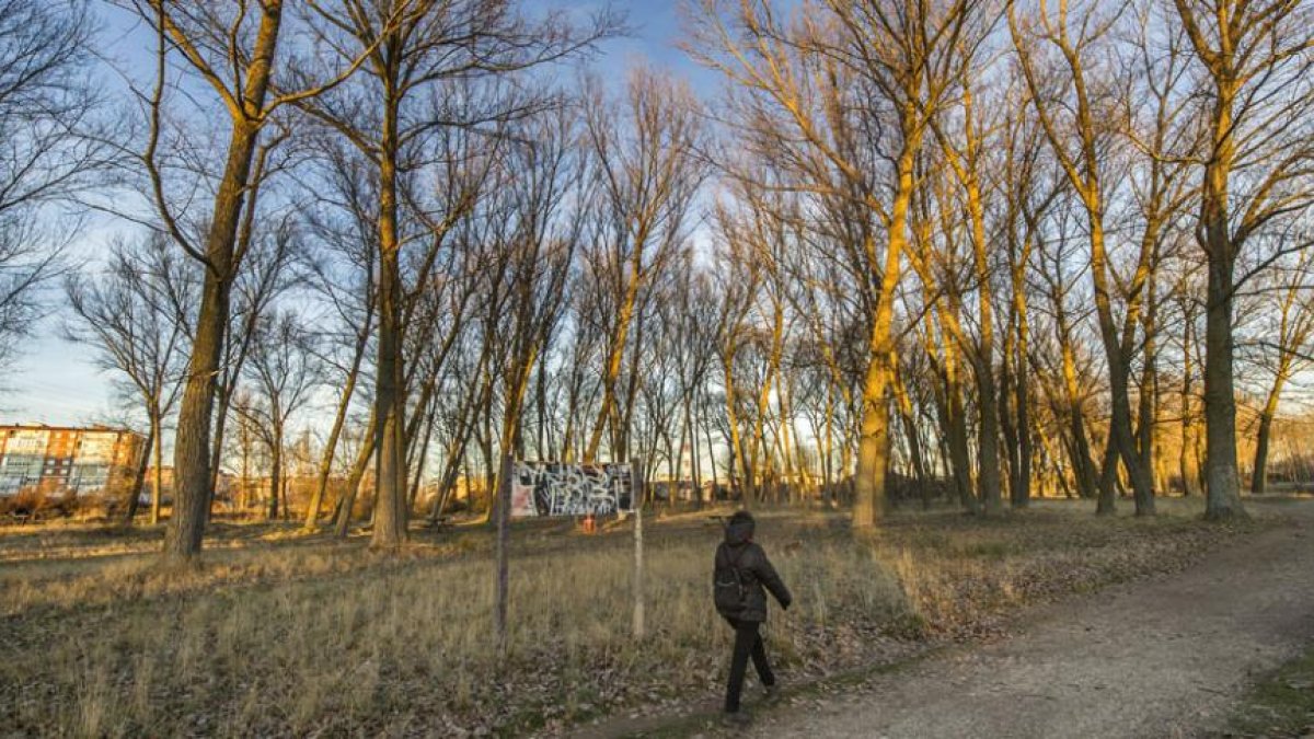 La zona norte del parque de Fuentes Blancas, desde el bulevar hasta el Humedal, es la que se incluiría en la nueva remodelación.-ISRAEL L. MURILLO