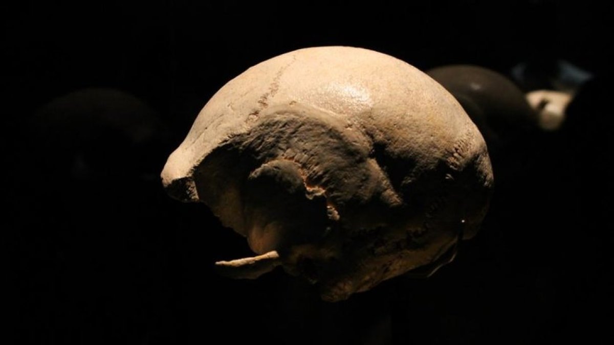 Cráneo de Agamenón, fue el primero en aparecer y lo hizo de una pieza. SANTI OTERO