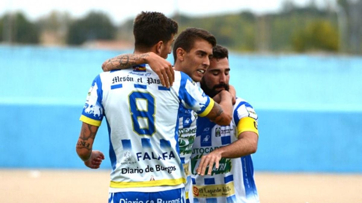 Los jugadores de la Arandina celebran uno de los goles conseguidos ayer.-ALBERTO CALVO