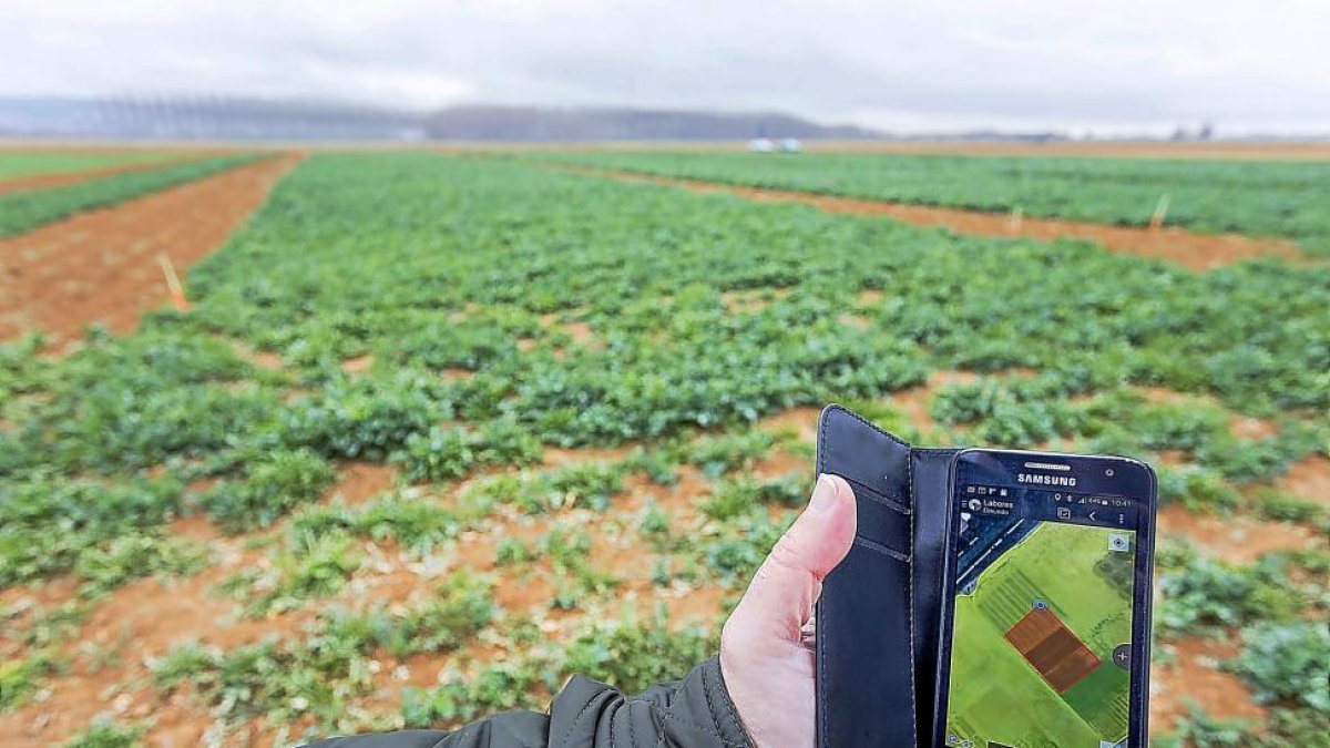 Prueba a pie de campo de la aplicación CartoDroid con la creación de un proyecto personalizado en el móvil y sin conexión de datos.-PABLO REQUEJO