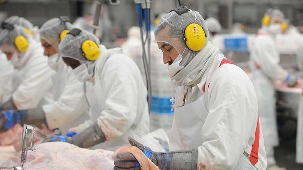 Operarios de Carnes Selectas durante su jornada laboral.-ISRAEL L. MURILLO