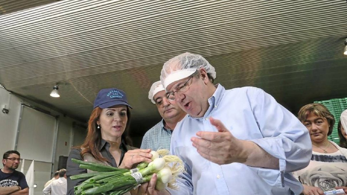 Juan Vicente Herrera se puso ayer el chaleco de ‘faena’ y aprendió a «plantar el plantón del puerro». El candidato del PP visitó primero Sepúlveda y, después, una fábrica de hortalizas en Gomezserracín, junto a la número uno a las Cortes, Silvia Clemente.-El Mundo