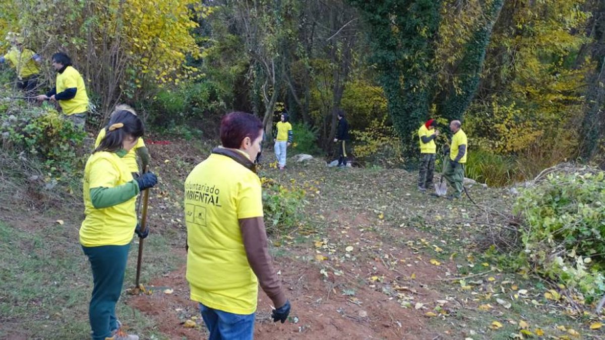 Los vecinos de Lerma trabajan en la recuperación de espacios como El Redondal. Su alcalde (al fondo a la derecha) trabaja como un voluntario más.-MIGUEL ÁNGEL