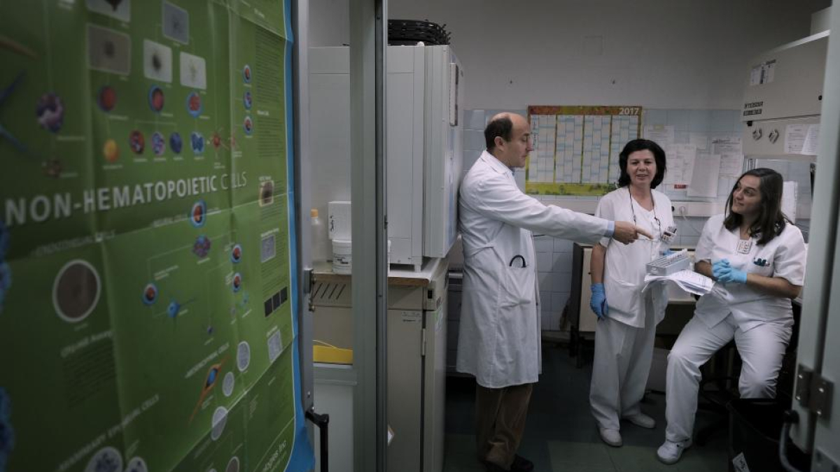 Jesús María Hernández y su equipo en las instalaciones del Instituto de Investigación Biomédica de Salamanca.-ENRIQUE CARRASCAL