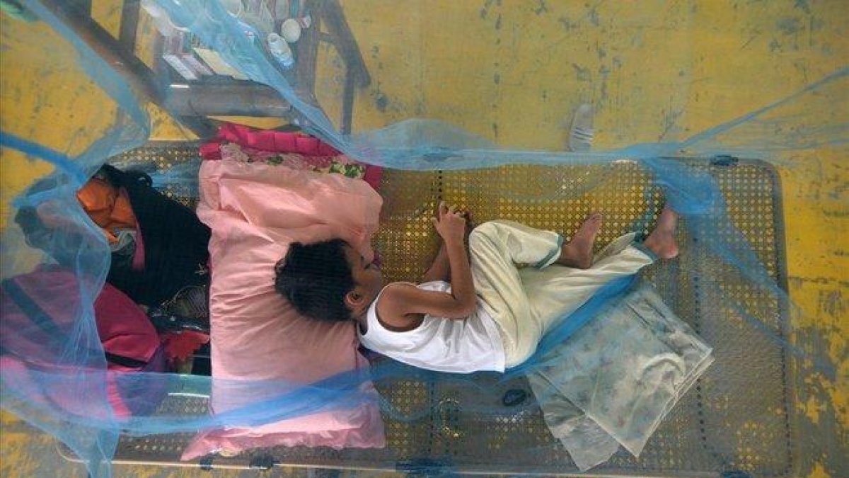 Pacientes que sufren de dengue descansan en un gimnasio cubiertos con mosquiteros en la ciudad de Maasin, Filipinas.-LEO SOLINAP (EFE/EPA)