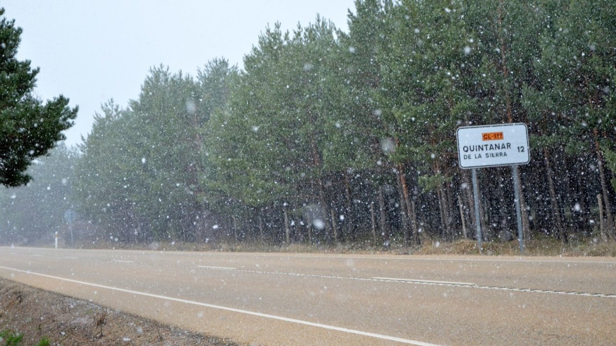 Imagen de la carretera de Quintanar de la Sierra. ECB