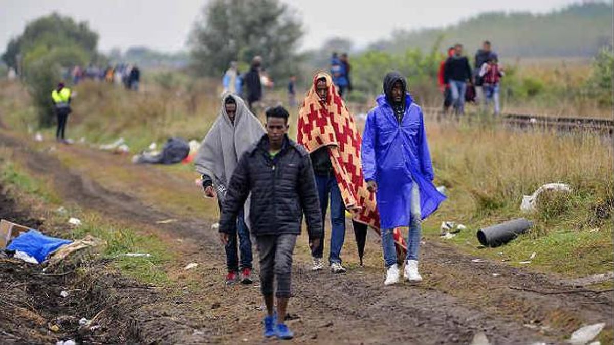 Varios refugiados entran en Hungría por el paso de Röszke, el viernes.-Foto: EFE / EDVAR MOLNAR