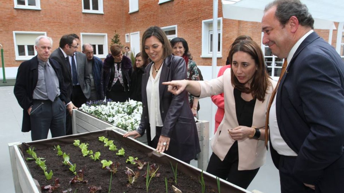 La consejera de Familia e Igualdad de Oportunidades, Milagros Marcos(C) junto a la presidenta de la Diputación, Ana Asenjo(2D) y al diputado del Área de sercvicios Sociales, Jesús Tapia(D), junto a un huerto en la inauguración de la Unidad de Convivencia -Ical