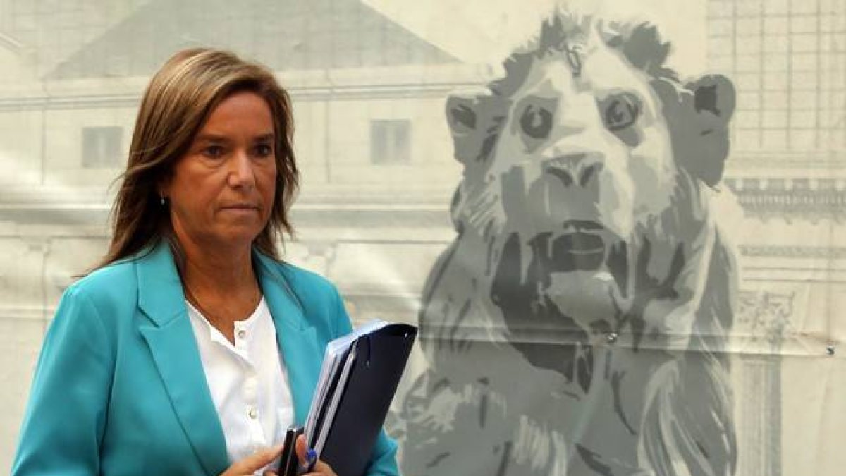 La ministra de Sanidad, Ana Mato, llega al Congreso, este miércoles.-Foto: JUAN MANUEL PRATS
