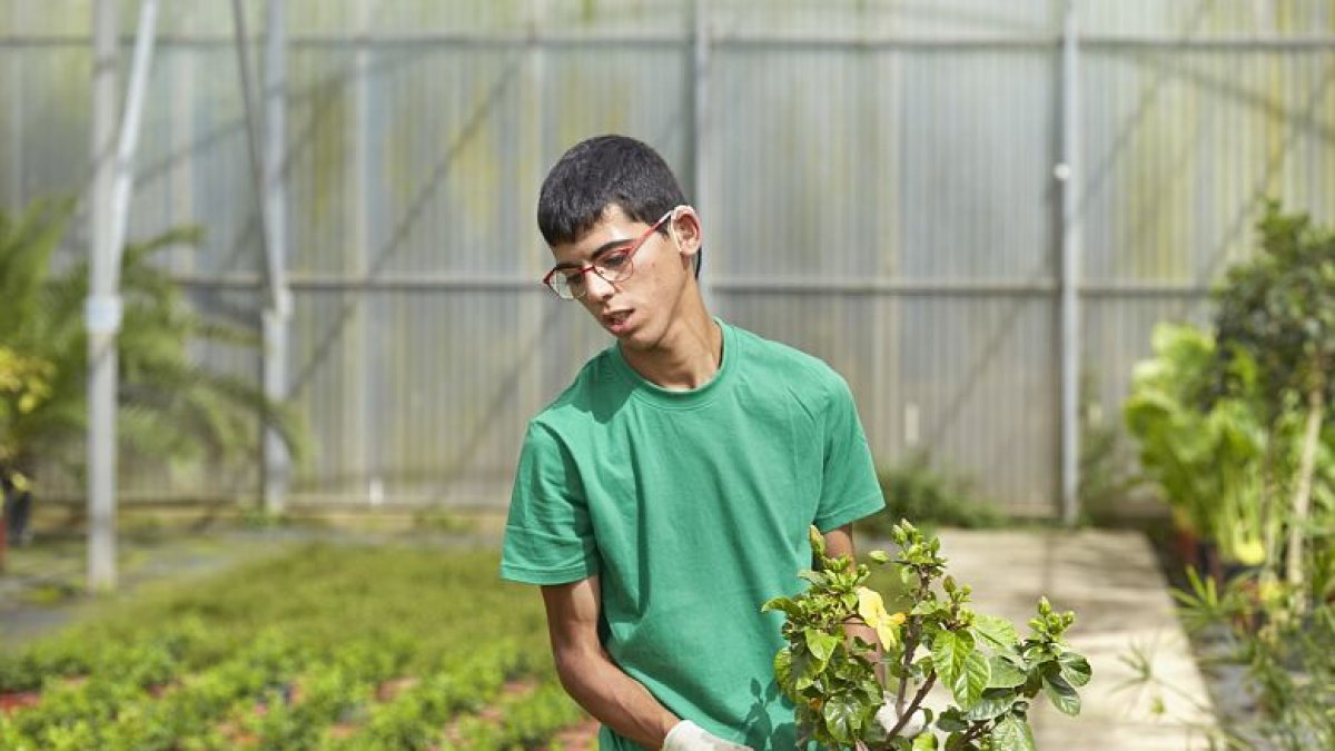 La Fundación ”la Caixa” ha facilitado 362 nuevos empleos a personas vulnerables de Burgos. ECB