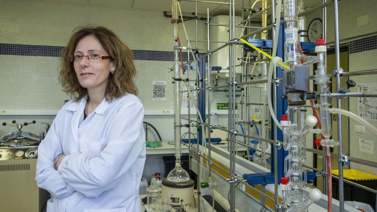 Teresa Sanz en los laboratorios de la UBU donde realiza su labor. SANTI OTERO