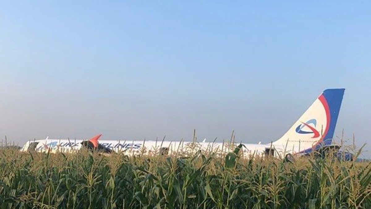 El Airbus, tras aterrizar en un maizal cerca de Moscú.-AFP