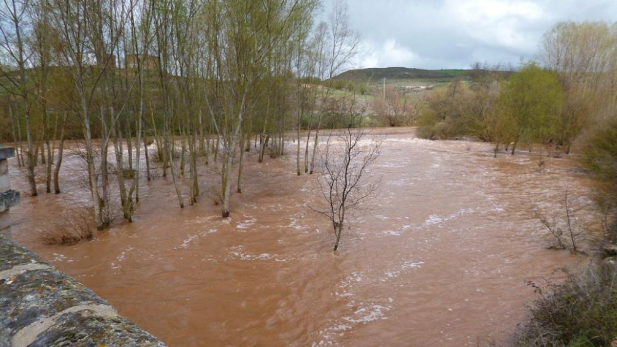 El puente de la carretera de Escuderos, testigo mudo de la crecida del Arlanza al pasar bajo sus pies.-ECB