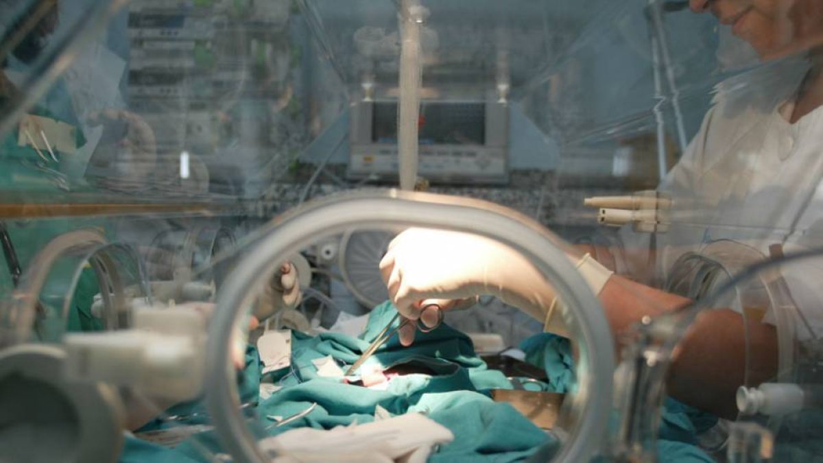 Imagen de una sala de neonatos.-ECB