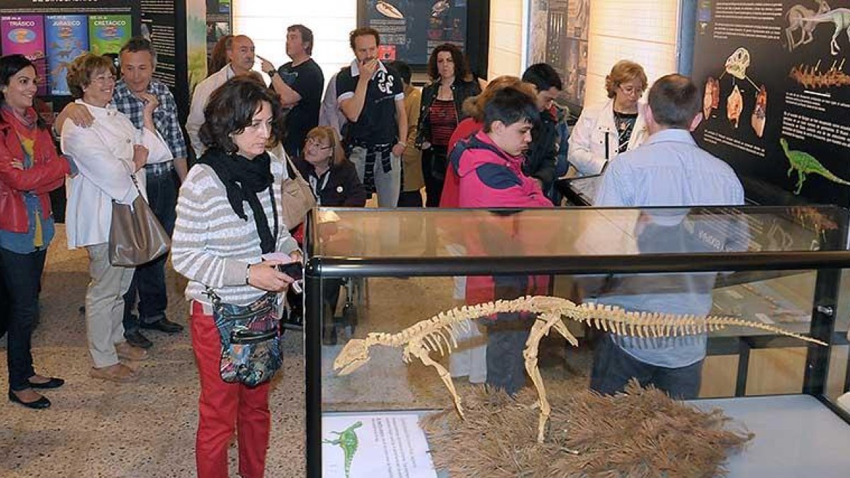 El museo salense recibe visitas de público de todas las edades.-ECB
