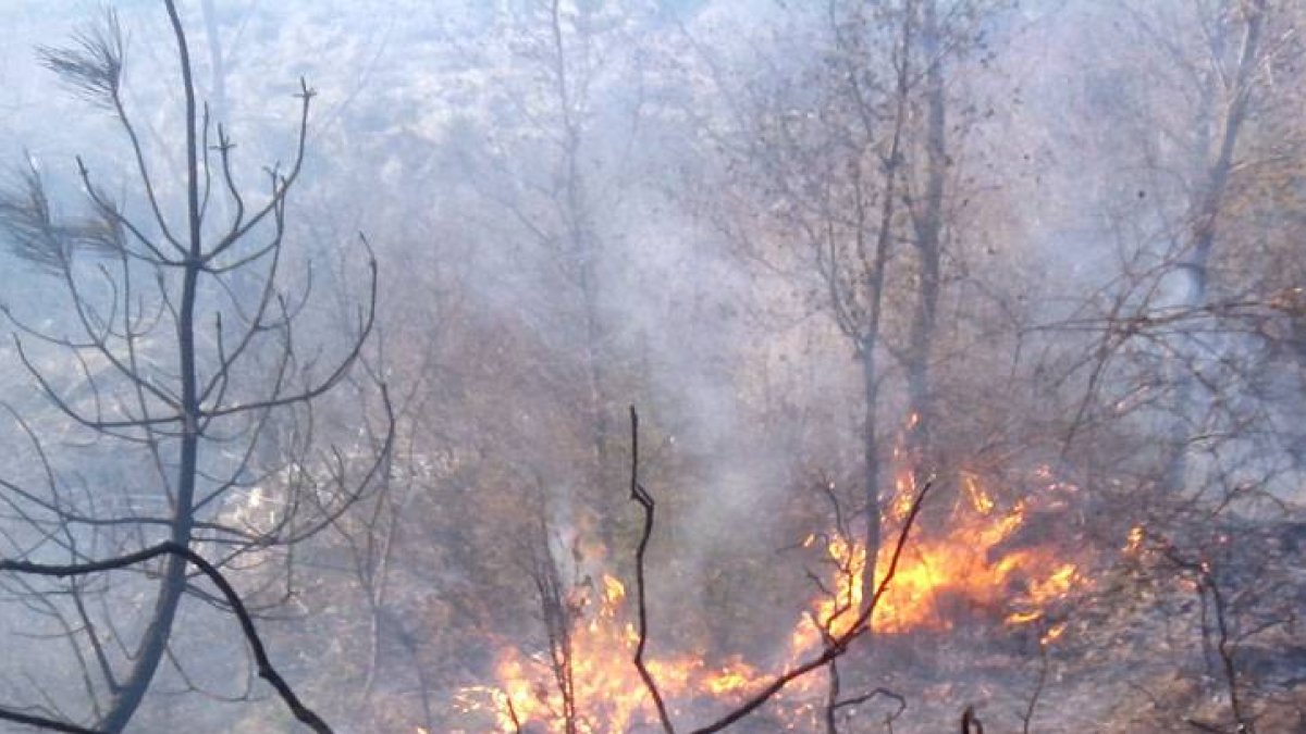 El fuego se extendió con rapidez por la masa de monte bajo de la zona.-G. G.
