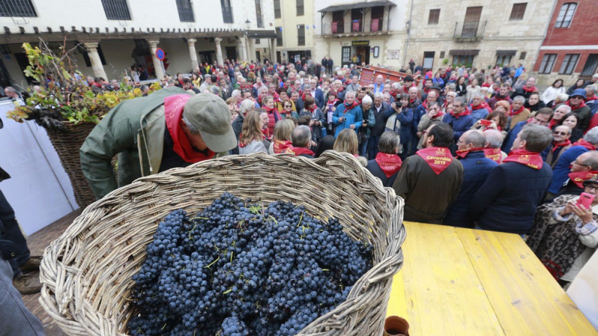 La pandemia ha obligado a suspender la fiesta de la vendimia con la que cada octubre concluye la vendimia. I. L. M.