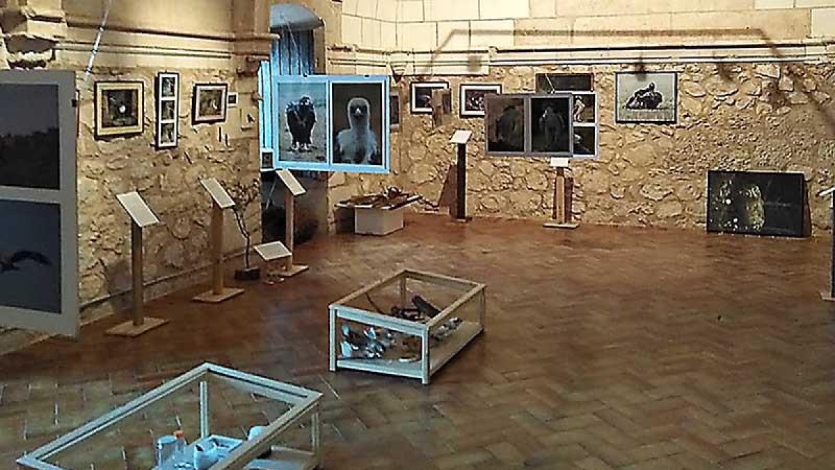 La exposición se ubica en el Salón Princesa Kristina de la villa rachela.-ECB