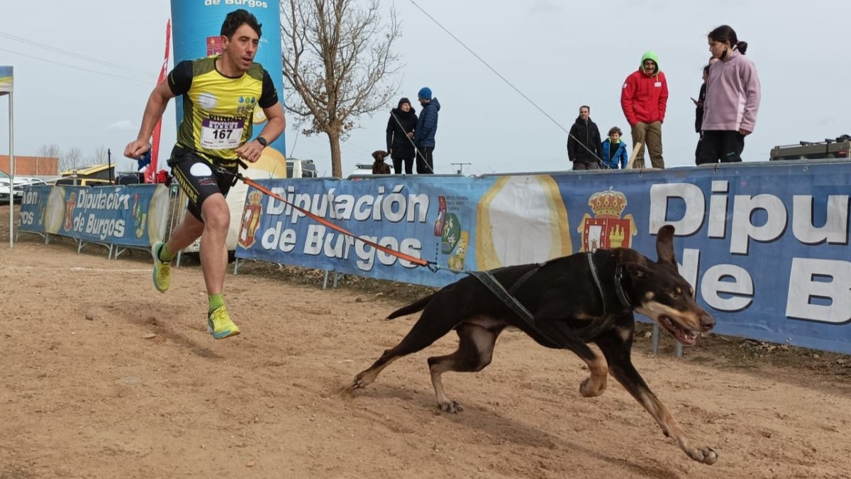 Imagen de la prueba celebrada en alas de los Infantes. CANICROSS BURGOS