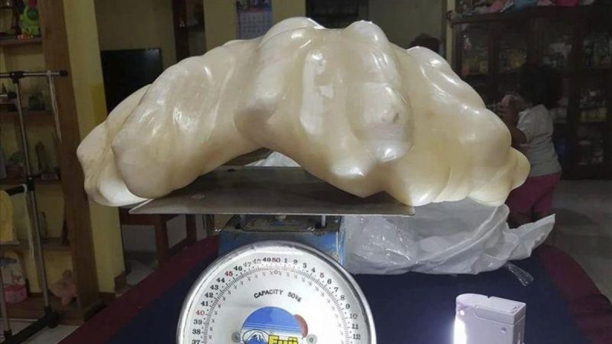 Perla hallada en Puerto Princesa (Filipinas) en el 2016.-EFE