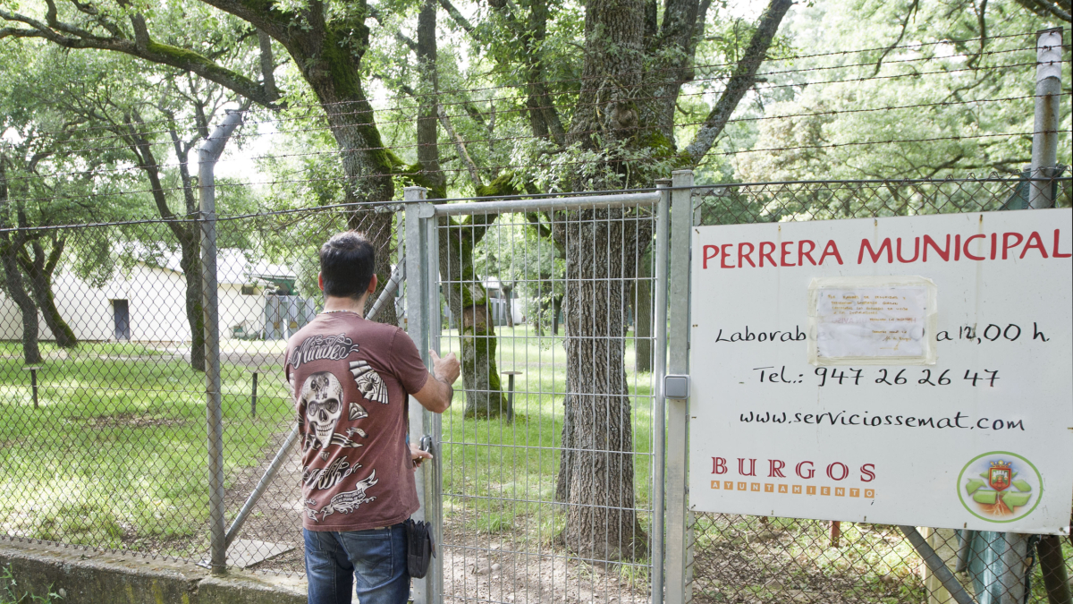 Entrada a la perrera municipal. ISRAEL L. MURILLO