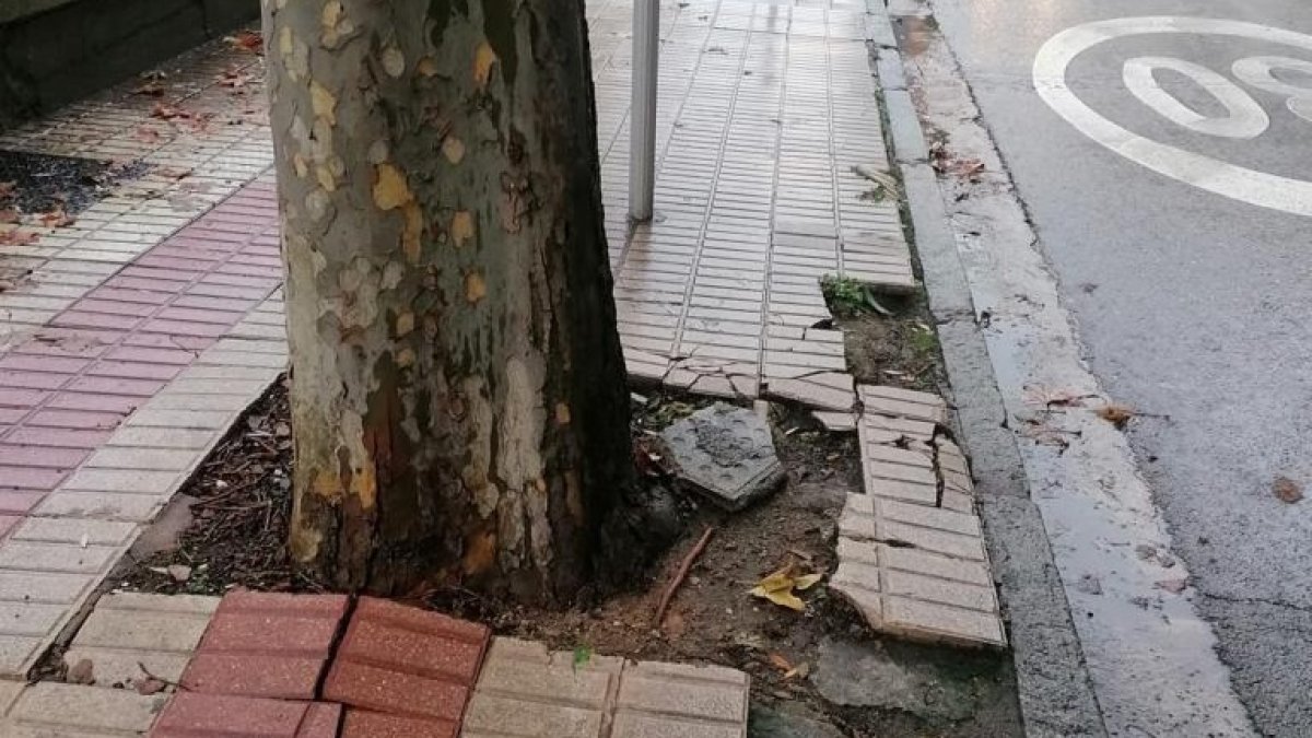 Detalle de la acera en las cercanías del puente Gasset.