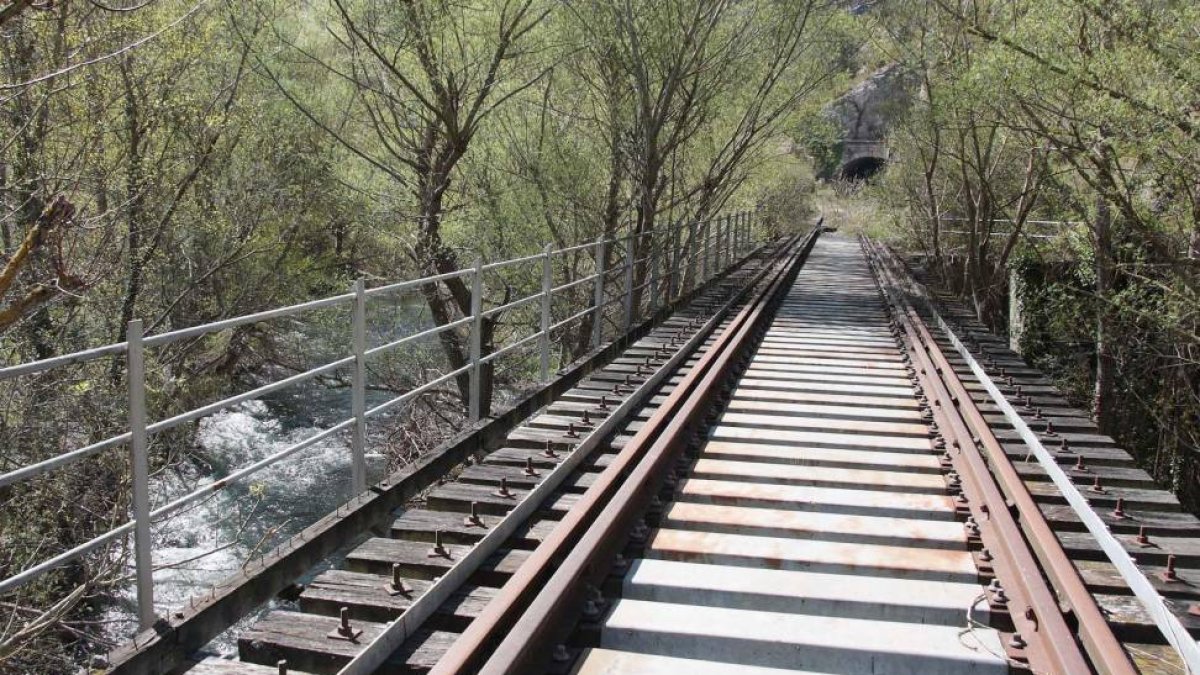 Puente ferroviario de la Santander-Mediterráneo sobre el río Oca en Oña-G. G.