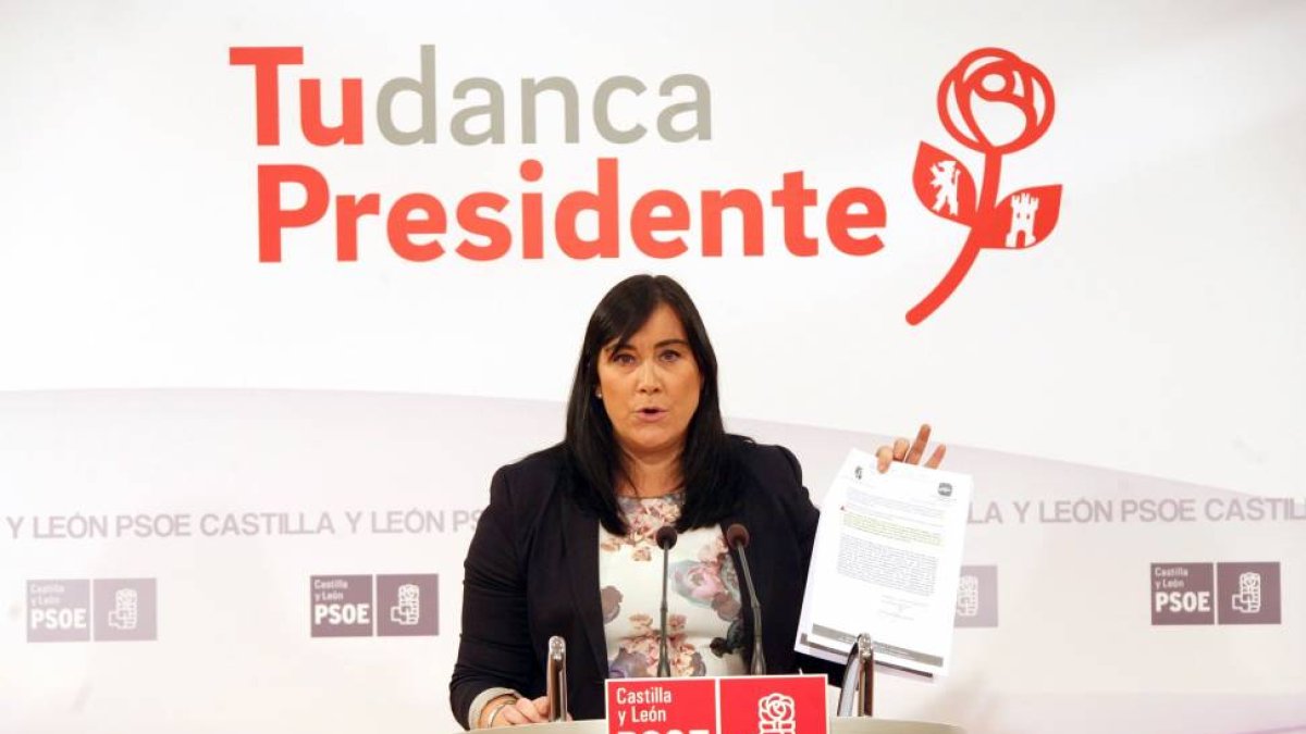 La secretaria de Organización del PSOE de Castilla y León, Ana Sánchez,-Ical