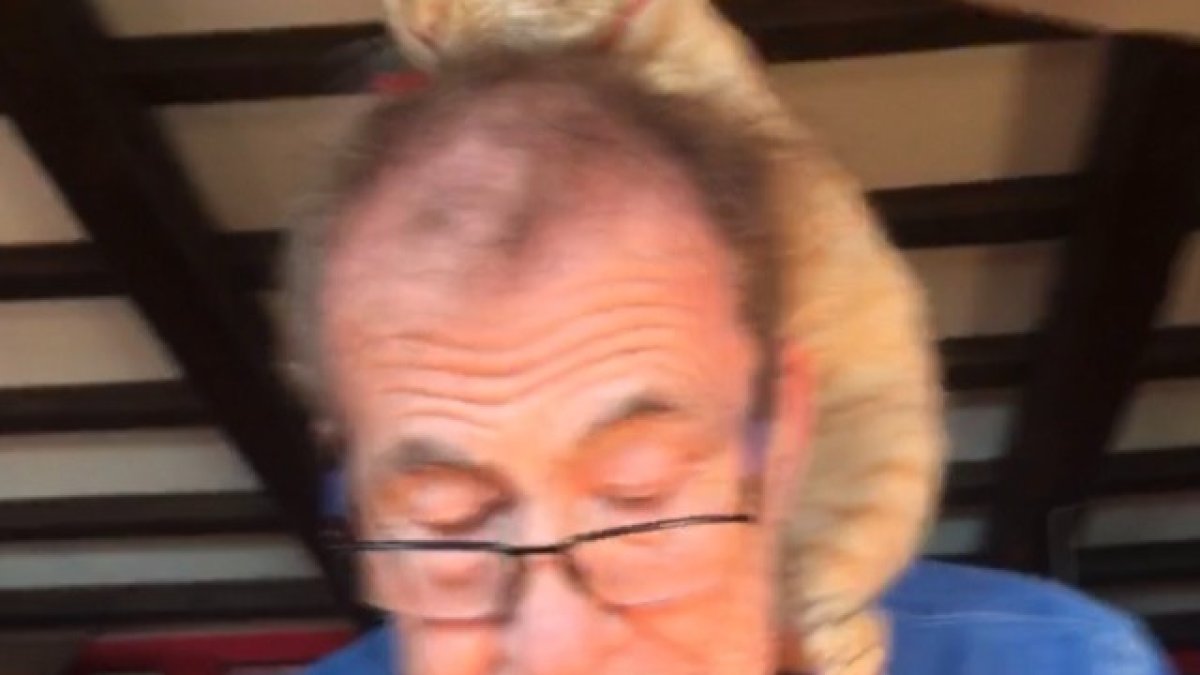 Sánchez Dragó, en la última fotografía publicada en su Twitter.- E. M.