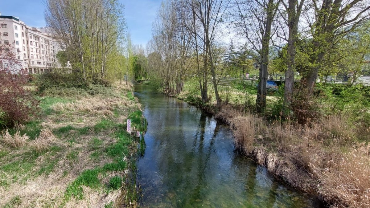 Río Arlanzón, a la altura del Puente de San Pablo. J.G.L.