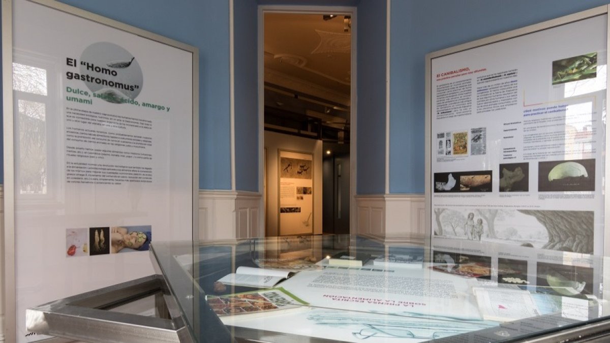 Exposición ‘El lenguaje y la dieta’ en el Palacio de la Isla de Burgos. ECB