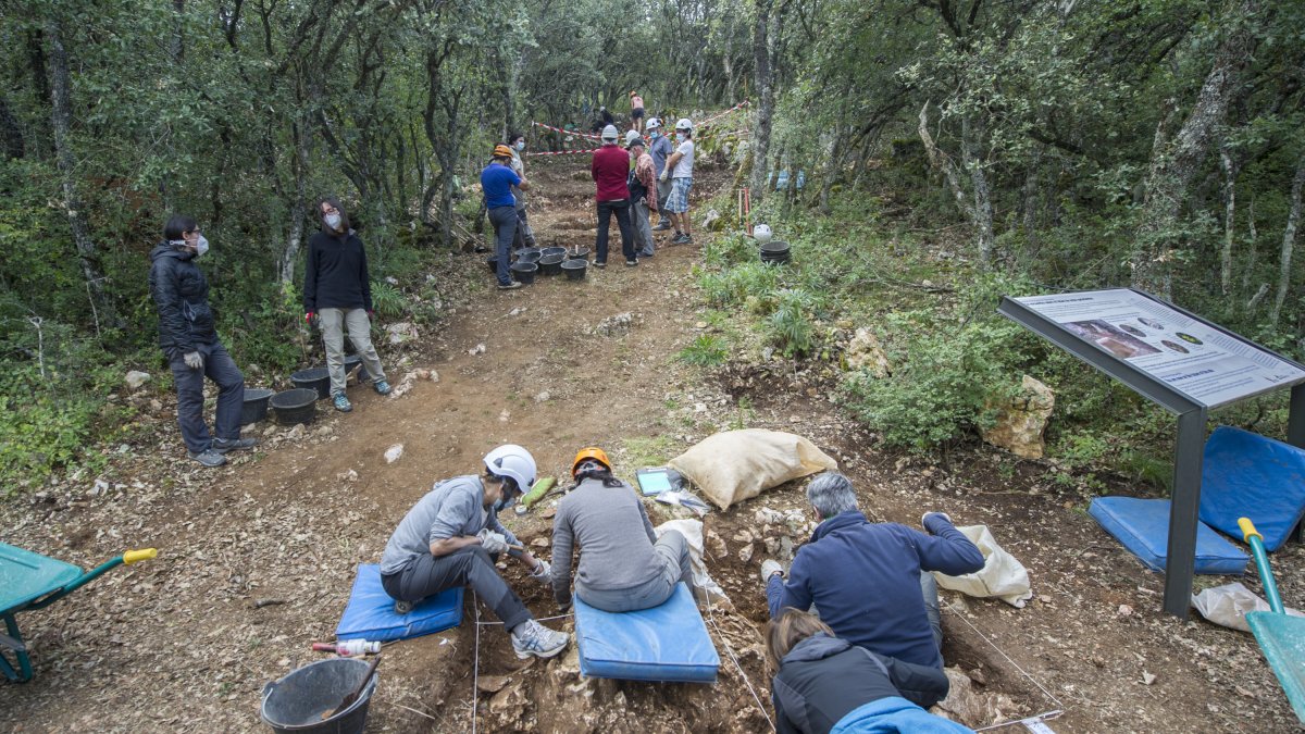 Yacimientos de Atapuerca, Elefante. ISRAEL L. MURILLO