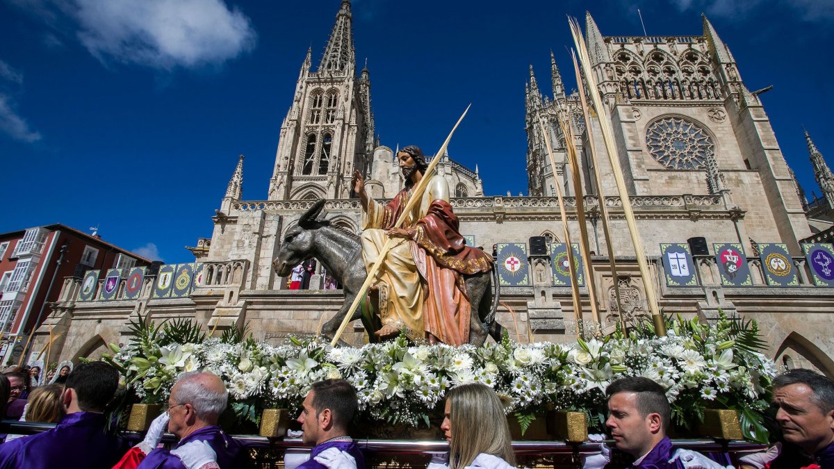 Es la procesión de la Semana Santa de Burgos que más gusta a los pequeños. Alegre, cargada de palmas y ramas de laurel o de olivo repletas, muchas, de gominolas, rosquillas y otros dulces. El paso de Jesús en la Borriquilla despierta pasión e interés en un público que acompañó todo el trayecto de vuelta a la Iglesia de San Lorenzo a hombres de los cofrades de la Cofradía de la Coronación de Espinas y Cristo Rey.