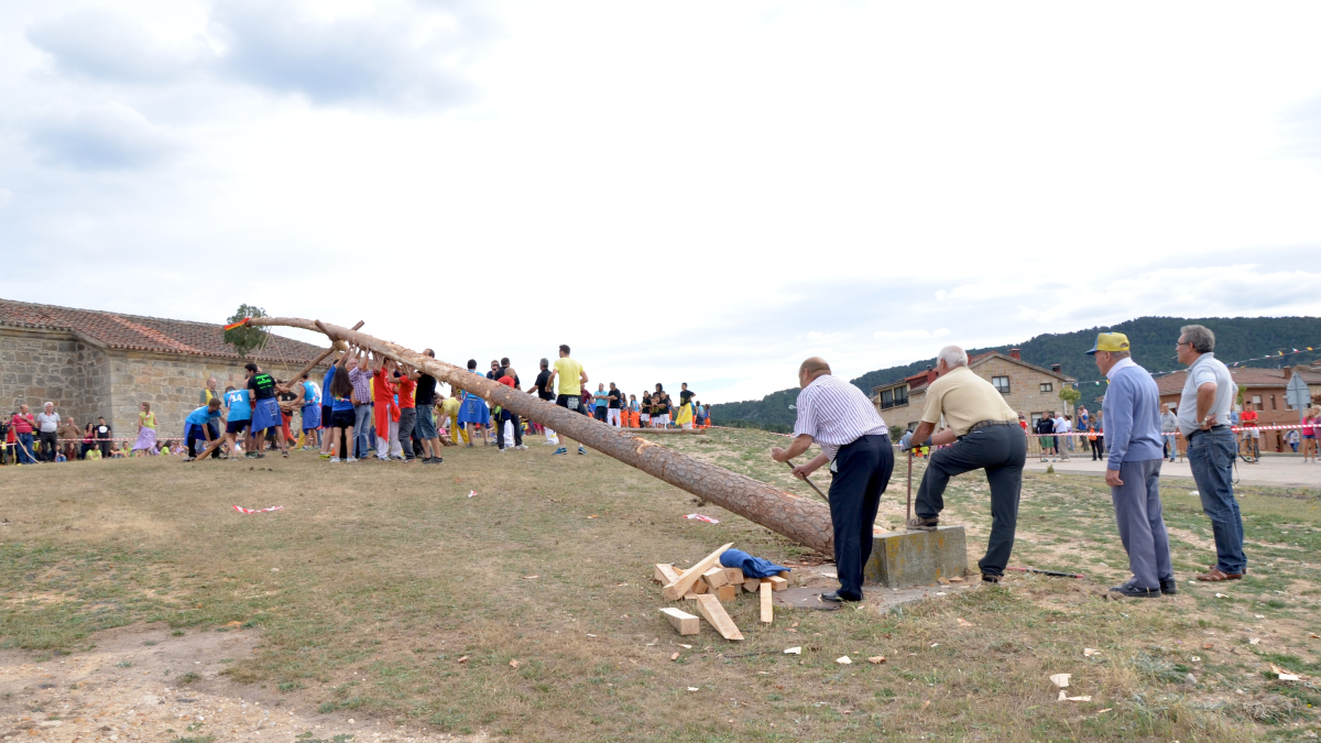 Pingada del Mayo en Canicosa de la Sierra.
