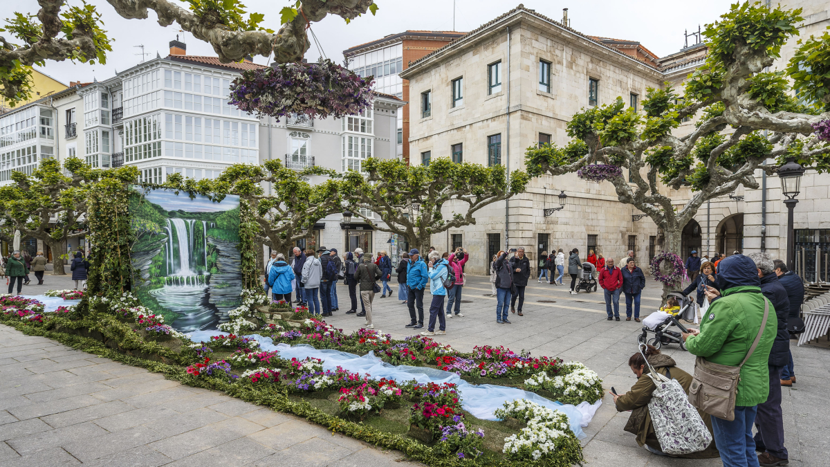 Uno de los montajes florales que se han instalado en el Espolón hasta el próximo domingo.