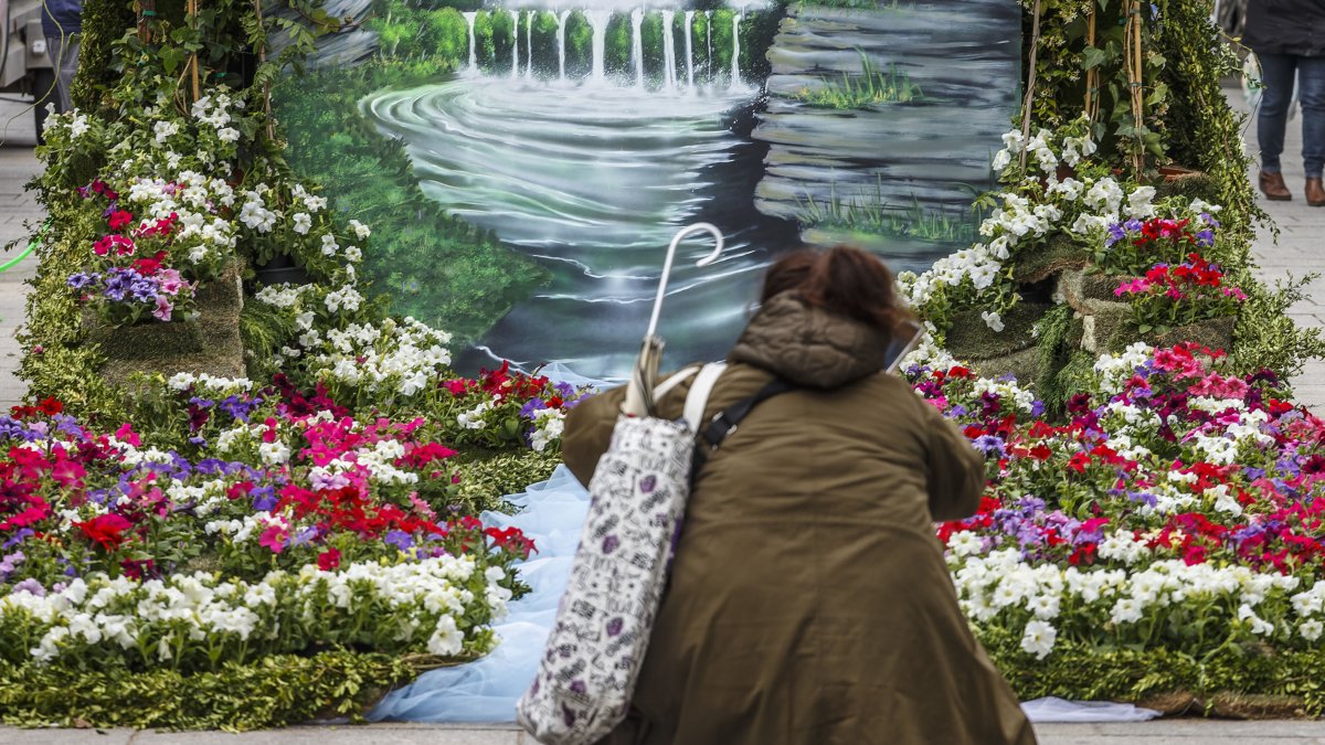 El Paseo del Espolón será el escenario principal para la localización de la mayoría de los proyectos florales junto con la Plaza Mayor, el puente de Santa María y el Principal