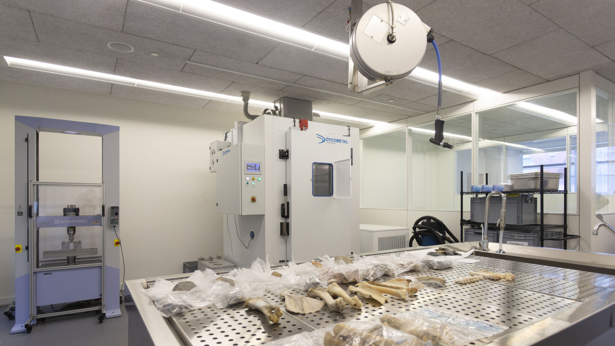 El Laboratorio de Arqueología Experimental es uno de los últimos que se han instalado en el Cenieh y que han agotado el espacio disponible.