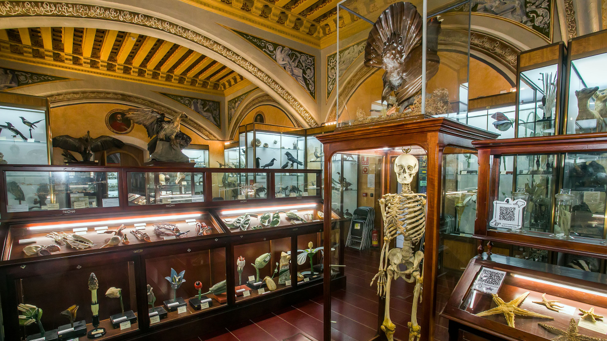 Imagen de la entrada del Museo de Ciencias Naturales del Instituto Cardenal López de Mendoza.