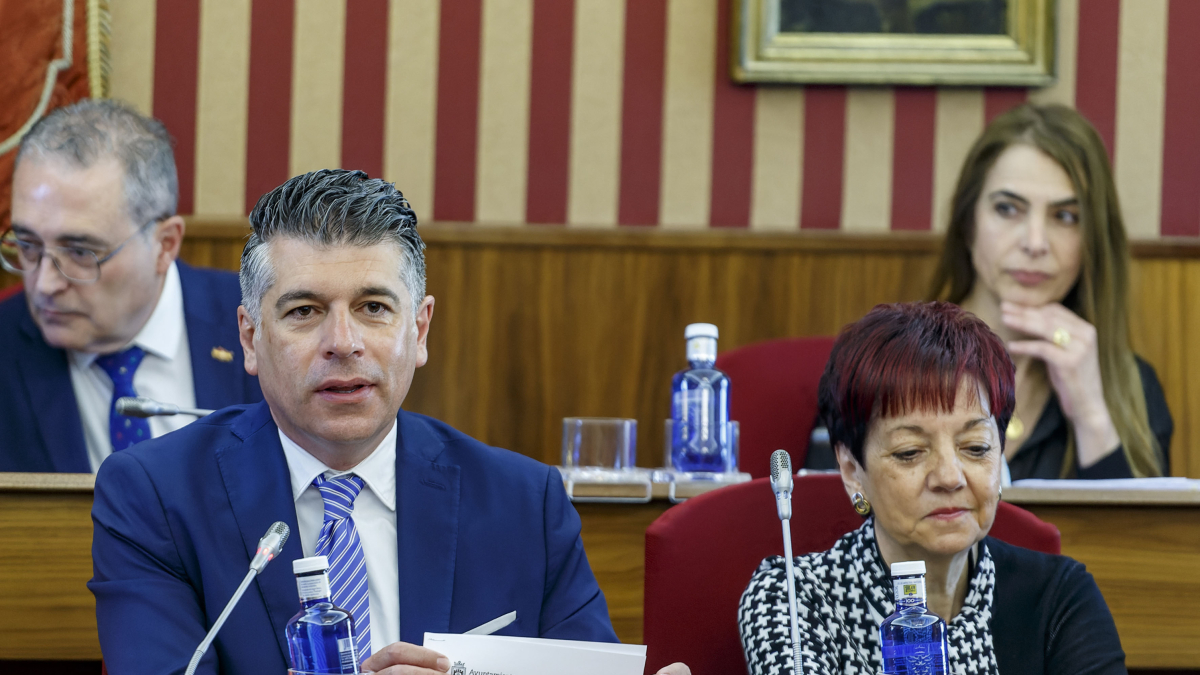 Marañón interviene en el Pleno de abril.