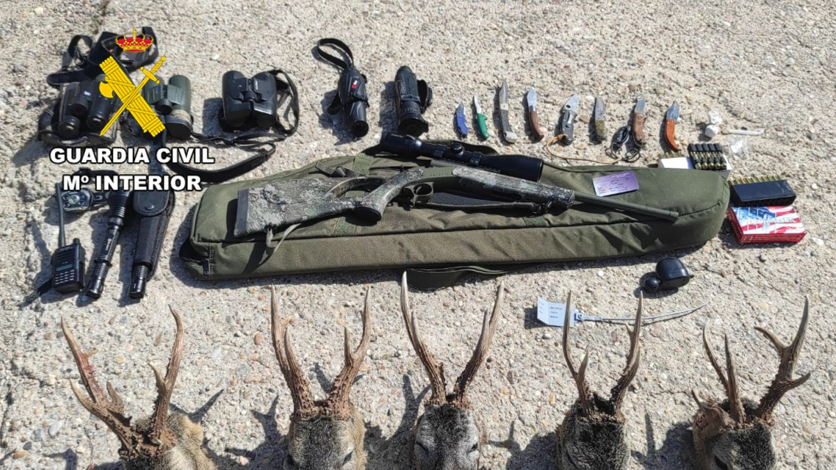 Cabezas de corzo y material de caza prohibido interceptado por la Guardia Civil de Burgos.
