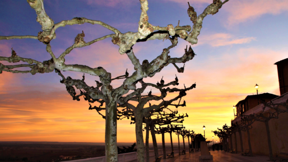 El paseo de El Espolón de Roa