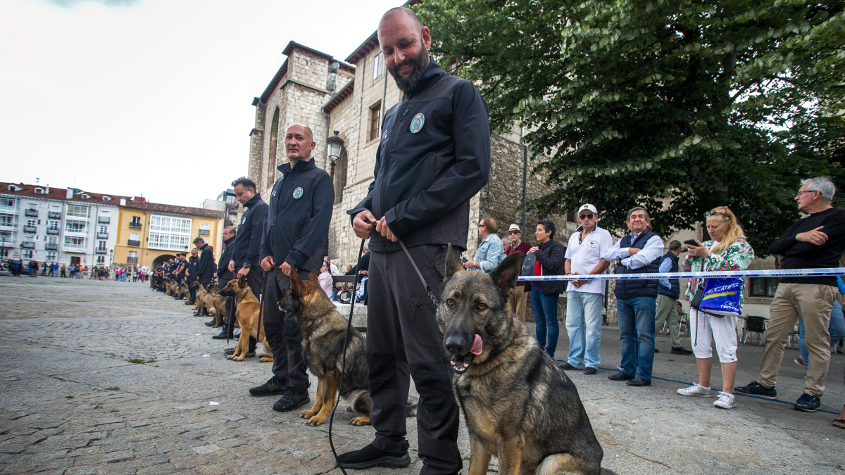 Imagen de guías con sus perros