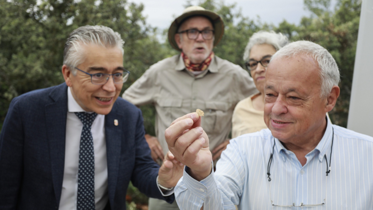 El consejero de Cultura, Gonzalo Santonja, sostiene una pequeña lasca de 800.000 años aparecida en la limpieza de la superficie de Penal.