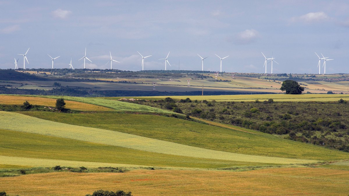 Instalación de aerogeneradores visible desde la instalación de Penal.